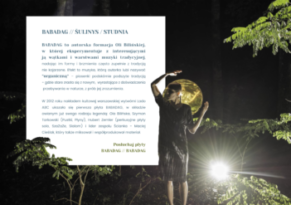 BABADAG-SULINYS-STUDNIA-oferta